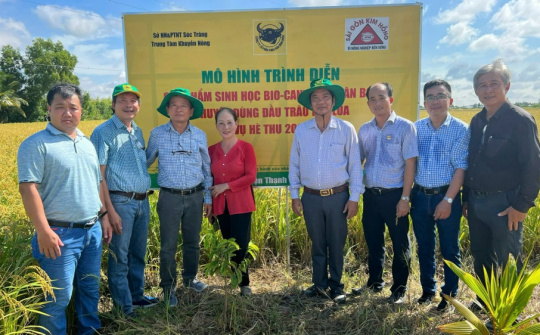 Phân bón Bình Điền và hiệu quả của mô hình canh tác lúa thông minh, thích ứng với biến đổi khí hậu