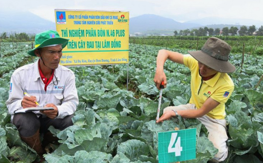 Đạm Cà Mau (DCM) hái “quả ngọt” từ thương vụ M&A Phân bón Hàn - Việt