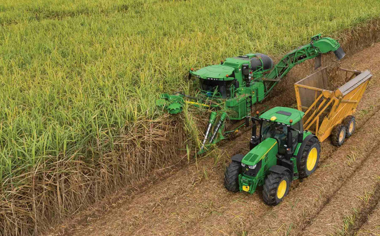 “Ngọt vị đường” - Mía đường Lam Sơn (LSS) báo lãi tăng 23%