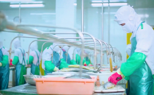 Cwin com sòng bạc trực tuyến thủy sản sang EU: Giải pháp giữ lợi thế của EVFTA