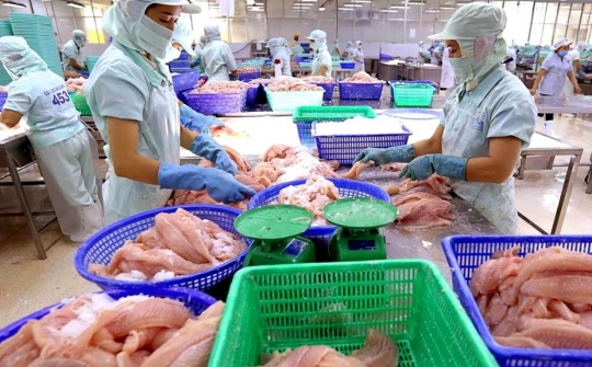 Thủy sản Vĩnh Hoàn (VHC): Cwin com sòng bạc trực tuyến cá tra sang Mỹ tăng gấp 2,6 lần