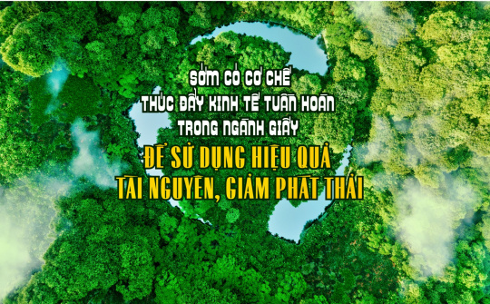 Sớm có cơ chế thúc đẩy kinh tế tuần hoàn trong ngành Giấy để sử dụng hiệu quả tài nguyên, giảm phát thải