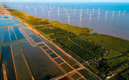 Ban hành Kế hoạch quốc gia thích ứng với biến đổi khí hậu giai đoạn 2021 - 2030, tầm nhìn đến năm 2050