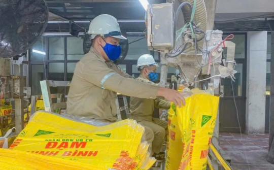 Áp thuế giá trị gia tăng 5% sẽ giúp giá phân bón ổn định và giảm