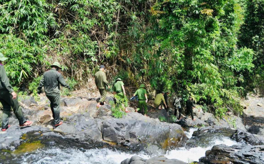 Ban Quản lý Rừng phòng hộ Sông Bồ: Đổi mới phương thức quản lý, nâng cao hiệu quả hoạt động