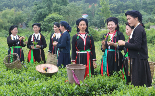 Phát huy hiệu quả các chính sách hỗ trợ đồng bào dân tộc thiểu số