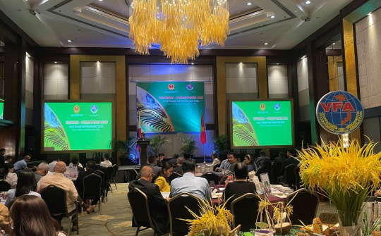 Dự báo xuất Cwin com sòng bạc trực tuyến Việt Nam - Philippines sẽ lần đầu tiên vượt 8 tỷ USD trong năm nay