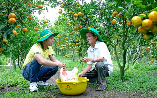 Kỳ vọng lợi nhuận của nhóm phân bón bùng nổ nếu được áp thuế VAT