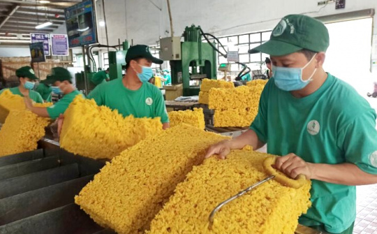 Hưởng lợi giá mủ cao su tăng, Cao su Việt Nam (GVR) báo lãi quý 3 cao gấp đôi