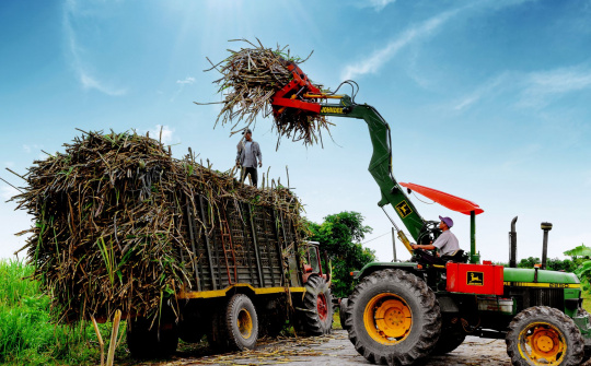 Bảo vệ thị trường trong nước nhìn từ câu chuyện mía đường