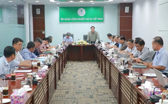 Cao su Việt Nam (GVR): Lãi từ 86.000 ha cao su tại Campuchia năm nay sẽ cao gấp 3 lần