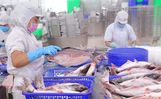 Thủy sản Vĩnh Hoàn (VHC): Cwin com sòng bạc trực tuyến sang Mỹ, EU, Trung Quốc M.Cwin800.com Nổ hũ, Bắn Cá và Game Bài tới 40%