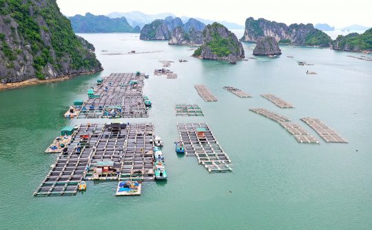 Kế hoạch thực hiện Quy hoạch bảo vệ và khai thác nguồn lợi thủy sản thời kỳ 2021 - 2030