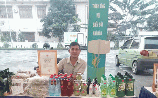 HTX Dịch vụ nông lâm nghiệp Thành Tiến: Đa dạng hoá sản phẩm giúp người dân tiêu thụ chè xanh