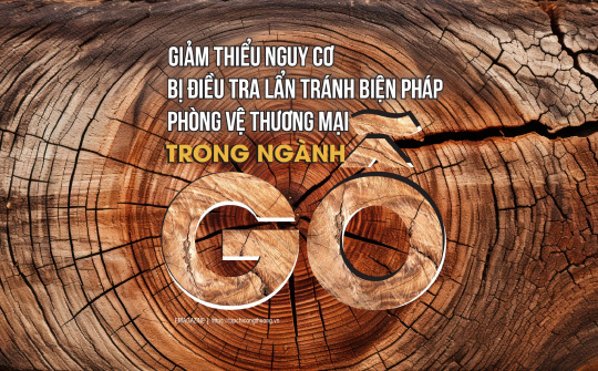 Giảm thiểu nguy cơ bị điều tra lẩn tránh biện pháp phòng vệ thương mại trong ngành gỗ