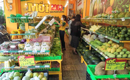 Bách Hoá Xanh: Sẽ hoàn tiền cho khách mua giá đỗ nhiễm hoá chất