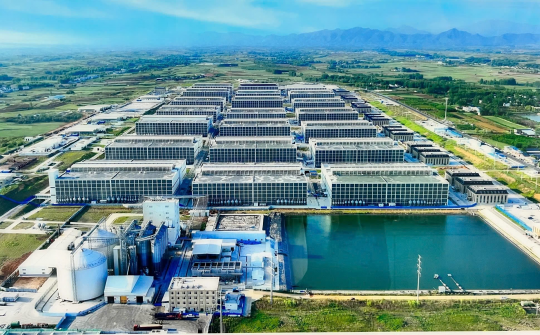 BAF Việt Nam: Bổ nhiệm 2 tân Phó Tổng giám đốc, mở rộng mảng chăn nuôi