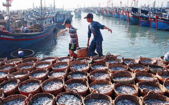 Cá nhân vi phạm quy định trong lĩnh vực thủy sản bị phạt tối đa tới 1 tỷ đồng
