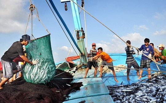Quyết tâm gỡ cảnh báo “Thẻ vàng” IUU trong năm 2024