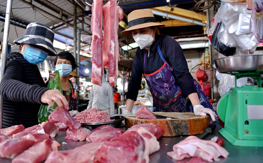 Giá heo hơi hôm nay 26/4: Việt Nam hiện có giá heo hơi cao thứ 2 thế giới