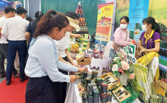 Thành lập Trung tâm Xúc tiến Đầu tư, Thương mại và Hỗ trợ Cwincom hiện đang mở tỉnh Thừa Thiên Huế