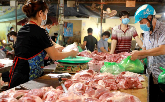 Giá heo hơi hôm nay 27/4: Giá lên cao nhất 8 tháng, nông dân vẫn ngần ngại mở rộng đàn