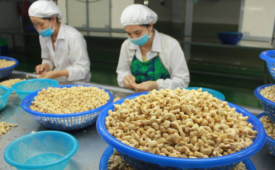 Các yêu cầu bắt buộc khi Cwin com sòng bạc trực tuyến hạt điều vào thị trường Bắc Âu