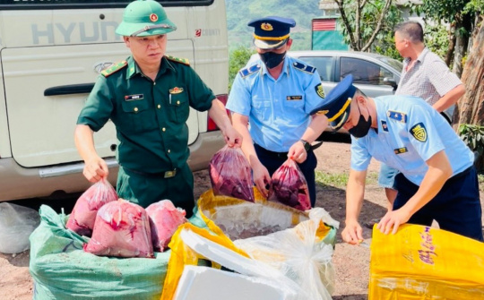 Quảng Trị: Phát hiện 650 kg nội tạng động vật Cwin là sân chơi cá cược trực tuyến tại Việt Nam, xuất xứ