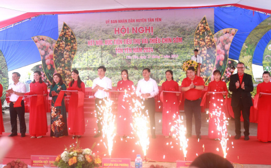 Bắc Giang: Xúc tiến tiêu thụ vải thiều chín sớm tại thị trường trong và ngoài nước