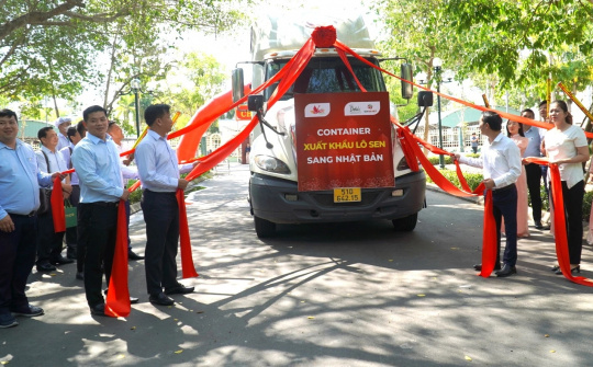 Từ 15 tấn củ sen lần đầu xuất sang Nhật Bản, kỳ vọng mở cơ hội cho nông sản địa phương