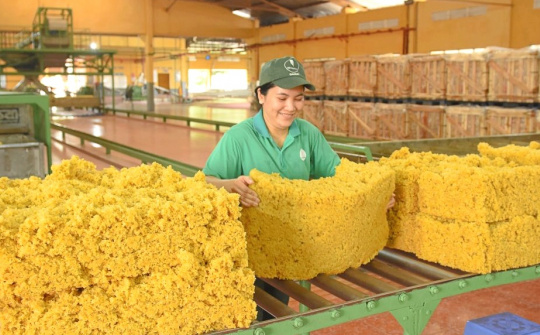 Cao su Việt Nam (GVR): Lãi ròng năm nay có thể tăng 45%, thu hơn 400 tỷ đồng từ việc thoái vốn