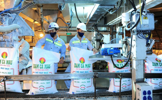 Vừa kết thúc Đại hội, Đạm Cà Mau (DCM) chuẩn bị chia cổ tức tiền mặt tỷ lệ 20%