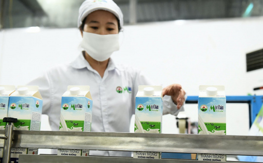 Cổ phiếu MCM của Mộc Châu Milk chốt ngày chào sàn HoSE
