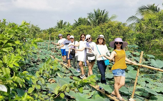 Đánh giá các nhân tố ảnh hưởng đến sự phát triển du lịch sinh thái ở huyện Phong Điền, thành phố Cần Thơ