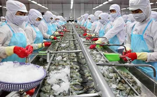 Thương mại Việt Nam - Liên bang Nga 5 tháng đầu năm 2024 tăng mạnh so cùng kỳ