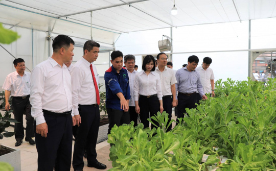Supe Lâm Thao gắn biển Công trình Vườn thực nghiệm và Phòng giặt quần áo bảo hộ Nền tảng hàng đầu cung cấp Cwin com cho người Nền tảng hàng đầu cung cấp Cwin com.