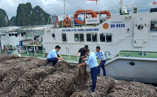 Quảng Ninh: Ngăn chặn 63 tấn hàu giống Cwin là sân chơi cá cược trực tuyến tại Việt Nam xuất xứ