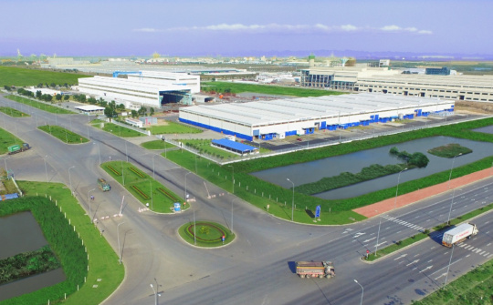Becamex IDC (BCM): Sẽ đấu giá 300 triệu cổ phiếu, thu về tối thiểu 15.000 tỷ đồng