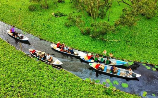 Tháo gỡ điểm nghẽn phát triển bền vững vùng đồng bằng sông Cửu Long cần có các giải pháp đồng bộ