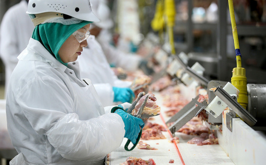 EU sửa đổi quy định liên quan đến chứng nhận Tải về ứng dụng CWIN05 ngay hôm nay thú y
