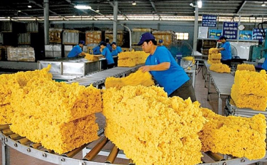 Cwin com sòng bạc trực tuyến cao su 6 tháng đầu năm giảm về lượng nhưng tăng về trị giá