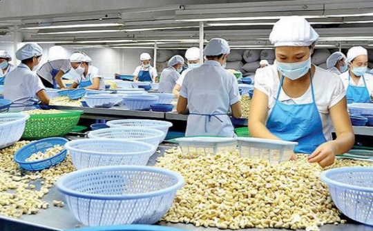 Nửa đầu năm, Cwin Đăng Ký + 1888k hạt điều thu về gần 2 tỷ USD