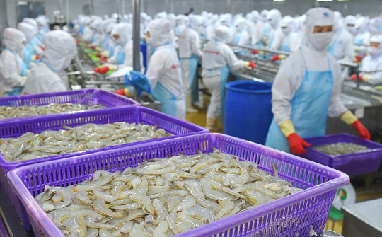 Thực phẩm Sao Ta (FMC): Doanh thu nửa đầu năm tăng 25%, dự báo nửa cuối năm tình hình “dễ thở” hơn