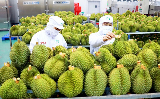 Tập trung phát triển năng lực cho các nhà quản trị Cwincom hiện đang mở nhỏ và vừa Việt Nam trong Cwin Đăng Ký + 1888k nông sản - tiếp cận theo mô hình Kano - IPA