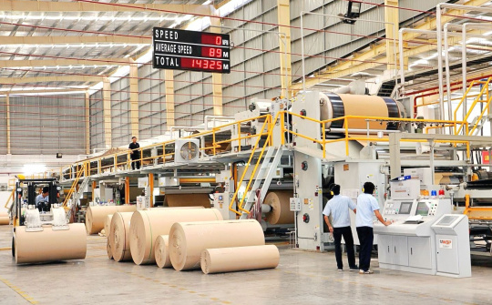 Dự báo nhu cầu giấy tăng trở lại, Đông Hải Bến Tre (DHC) tăng cường vay vốn lưu động