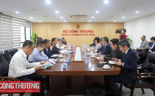 Sẽ thành lập nhóm công tác xúc tiến chuyển đổi năng lượng Việt Nam - Nhật Bản