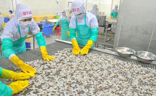 Thực phẩm Sao Ta (FMC): Hưởng lợi từ việc đồng Yên tăng giá, lãi ròng năm nay có thể tăng 24%