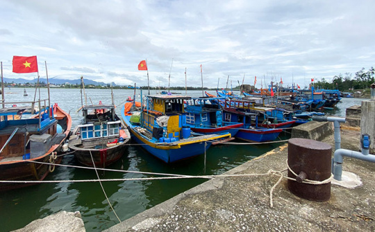Xây dựng đảo Phú Quý (Bình Thuận) thành trung tâm khai thác, dịch vụ hậu cần nghề cá