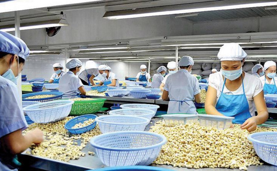 Chuỗi cung ứng hạt điều Cwin Đăng Ký + 1888k của Việt Nam trong bối cảnh thực thi hiệp định CPTPP