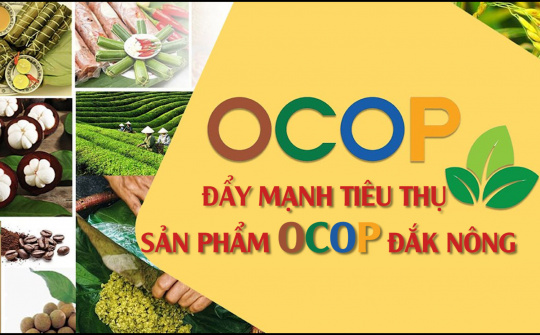 Đẩy mạnh tiêu thụ sản phẩm OCOP Đắk Nông